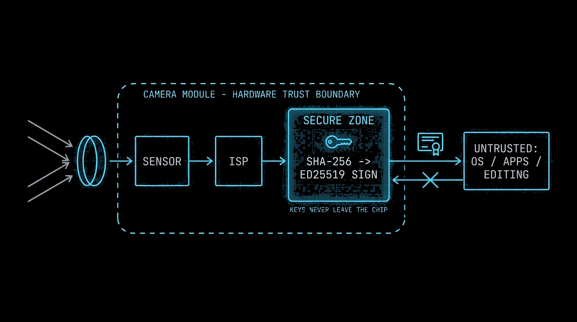 Camera module cross-section: light hits the sensor, frames pass through the ISP into a hardware secure zone where each frame is SHA-256 hashed and Ed25519 signed before leaving the module. Keys never leave the chip; the OS, apps, and editing tools sit outside the hardware trust boundary with no window to intervene.